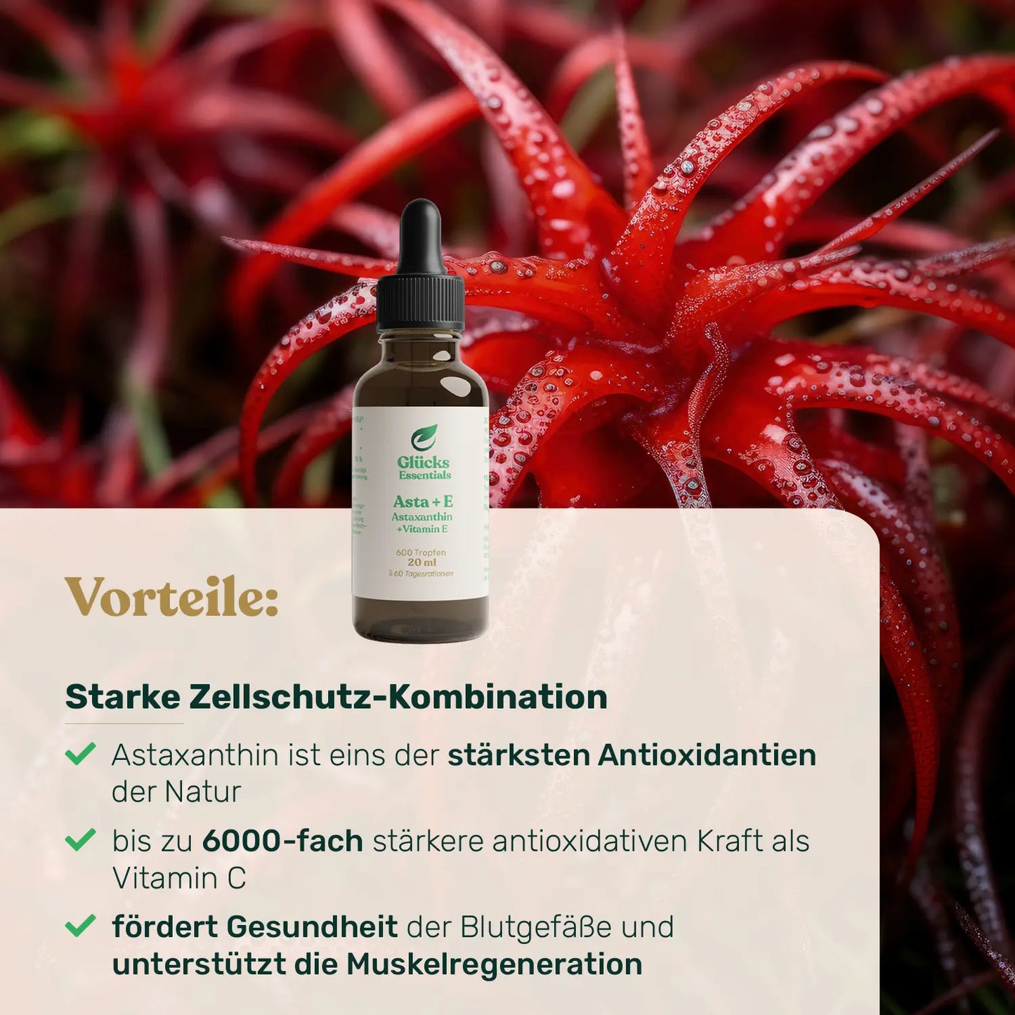 Asta + E - Astaxanthin + Vitamin E - 20 ml