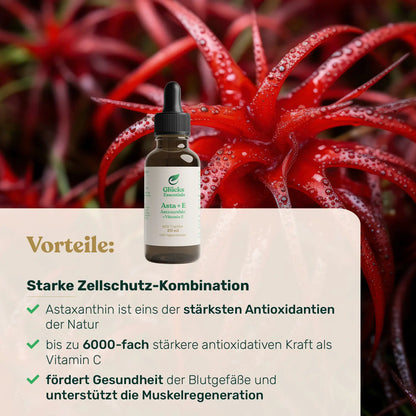 Asta + E - Astaxanthin + Vitamin E - 20 ml
