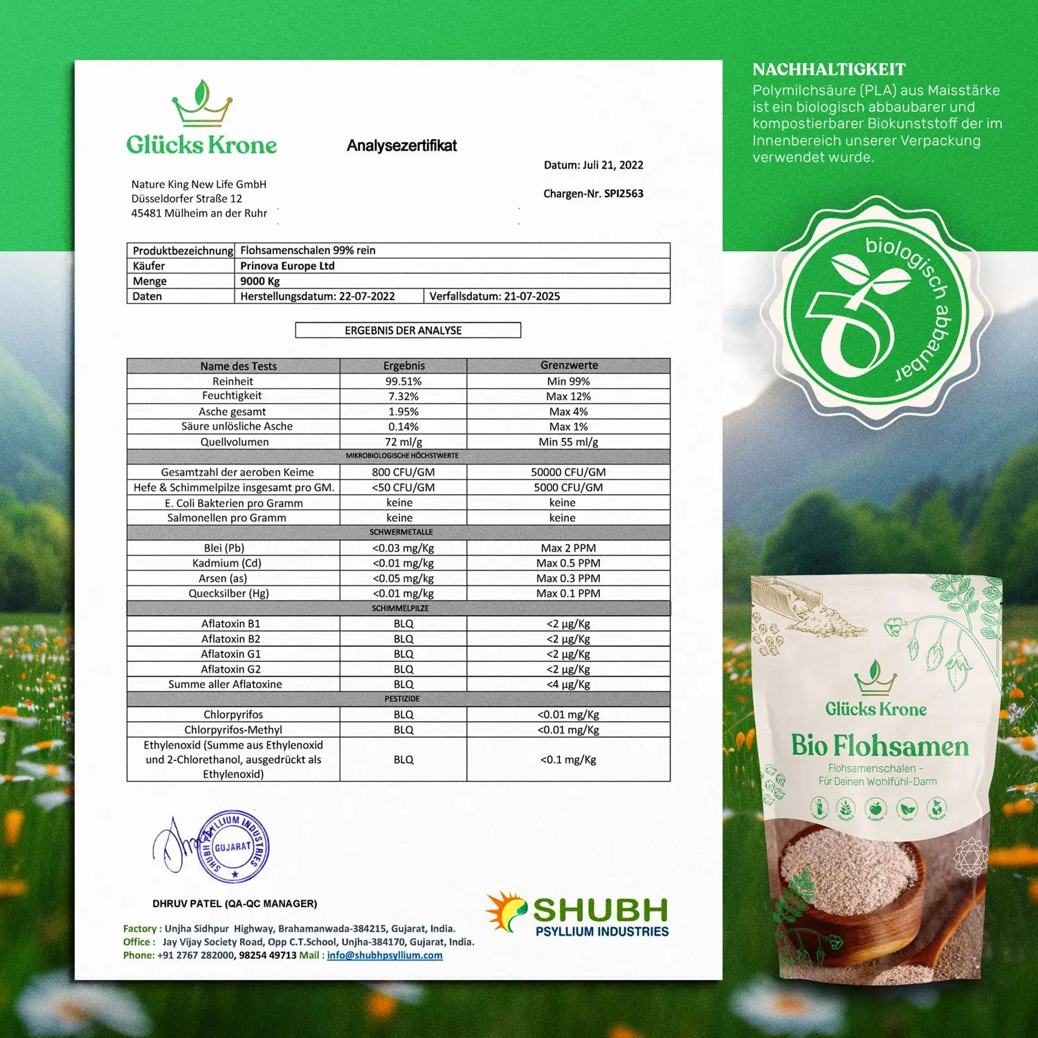 Bio Flohsamenschalen - 250g