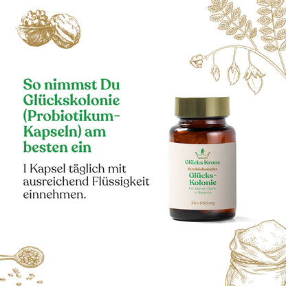 Darm Neustart Bundle