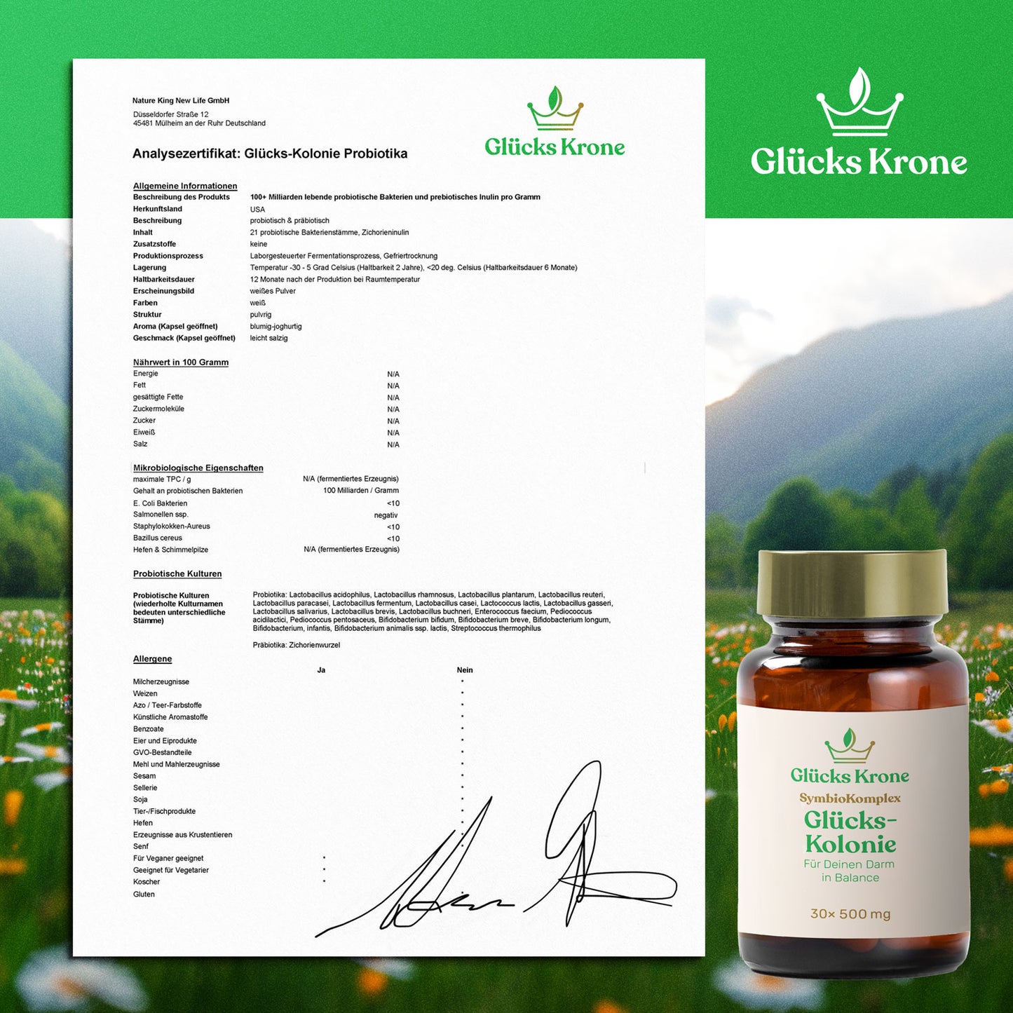 Darm Neustart Bundle