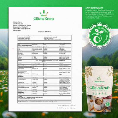 Bio GlücksKraft 333g (Pilz Kakao)