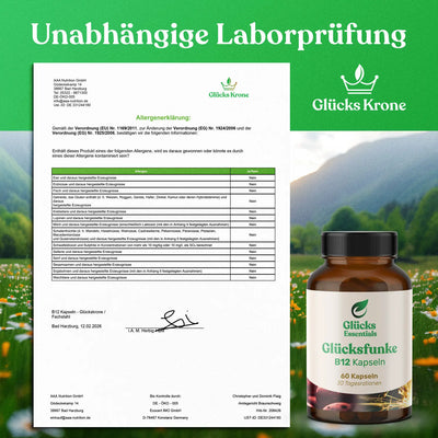 Glücksfunke - Vitamin B12 - 60 Kapseln