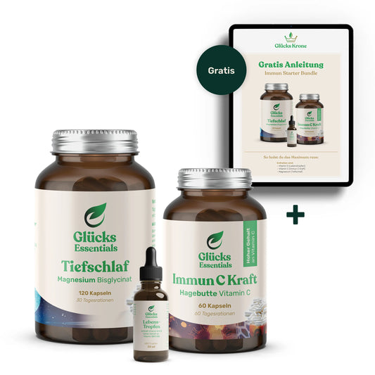 Immun Starter Weihnachts-Bundle