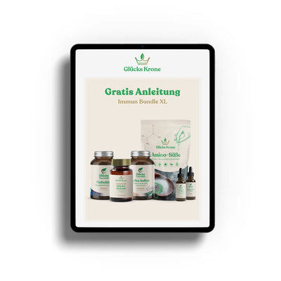 1 Stück Anleitung Immun Bundle XL (PDF, digital)