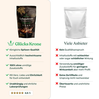 LebensKraft - Rohkakao mit 4 Pilzpulvern & Vanille  - 333g