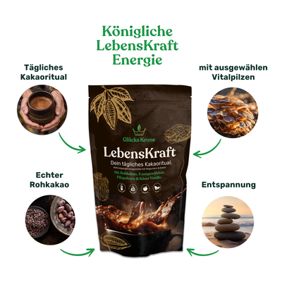 LebensKraft - Rohkakao mit 4 Pilzpulvern & Vanille  - 333g