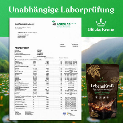 LebensKraft - Rohkakao mit 4 Pilzpulvern & Vanille  - 333g