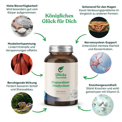 Winter Essentials Bundle