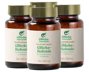 4 Stück Glücks Kolonie (SymbioKomplex) - 30 Kapseln