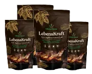 4 Stück LebensKraft - Rohkakao mit 4 Pilzpulvern & Vanille  - 333g