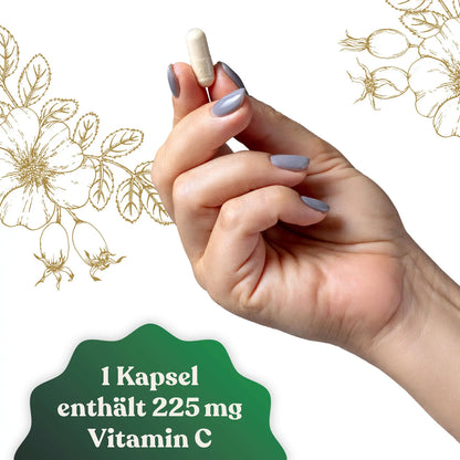 Immun C Kraft - Vitamin C aus Hagebutte - 60 Kapseln