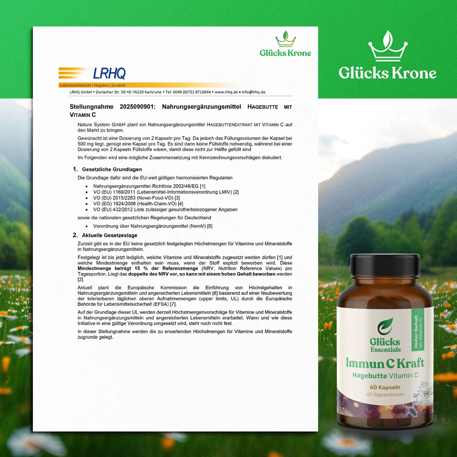 Immun C Kraft - Vitamin C aus Hagebutte - 60 Kapseln