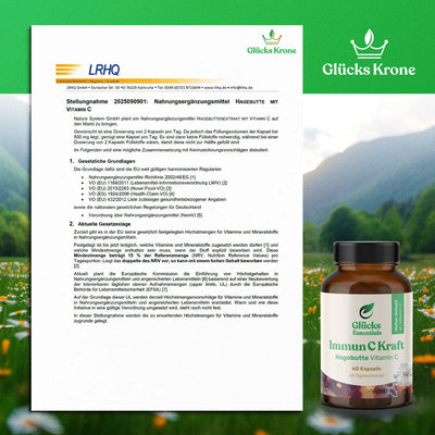 Immun C Kraft - Vitamin C aus Hagebutte - 60 Kapseln