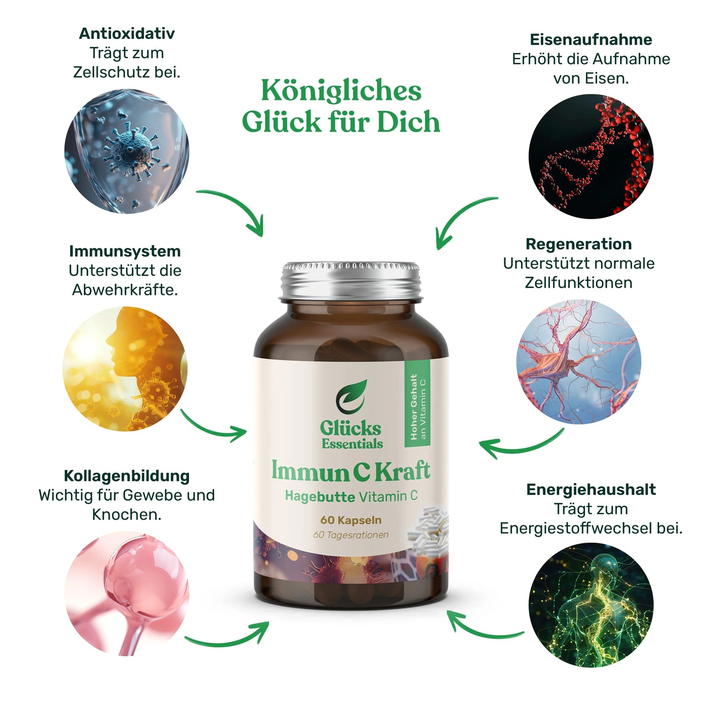 VIP Weihnachts-Bundle