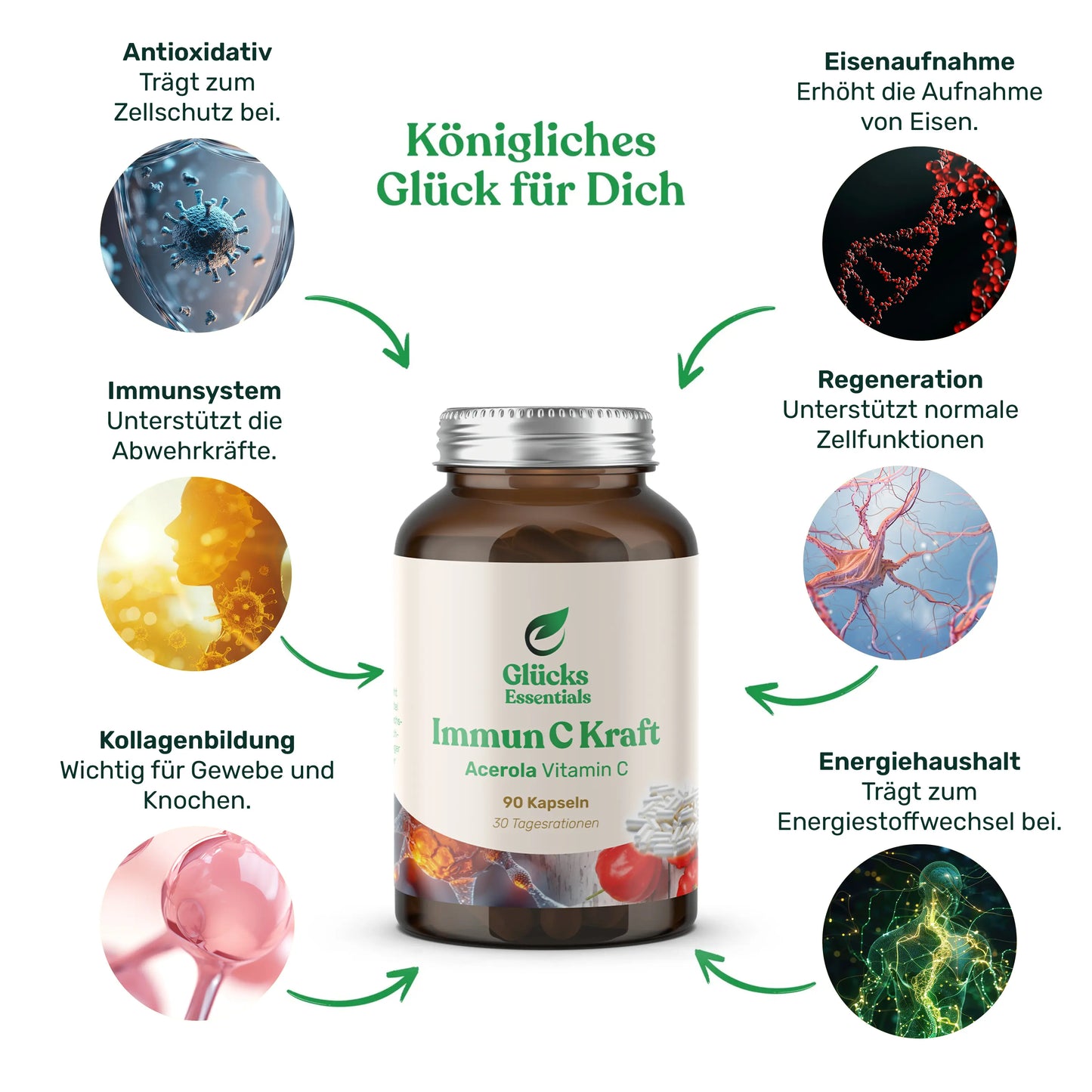 Vitamin D Co-Faktor Bundle