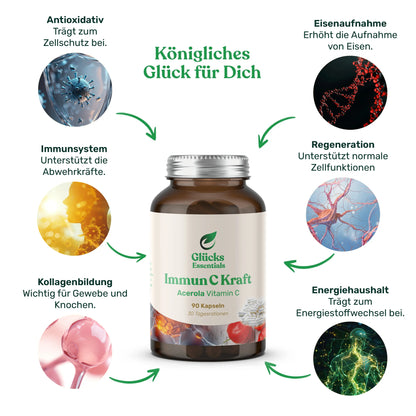 Vitamin D Co-Faktor Bundle