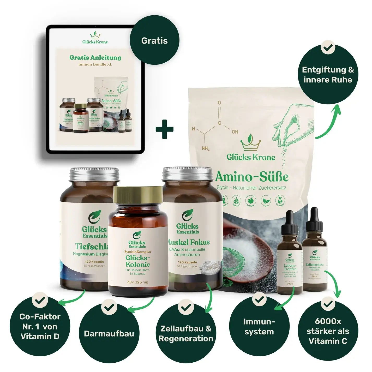 Immun Bundle XL